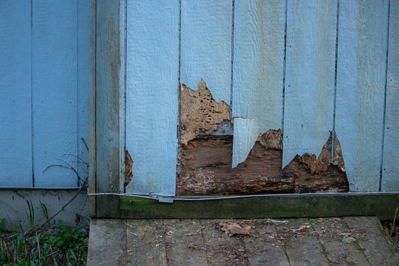 Damaged Board Siding