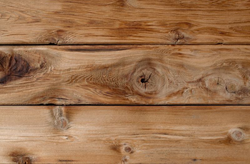 Board Siding Repair in Spring